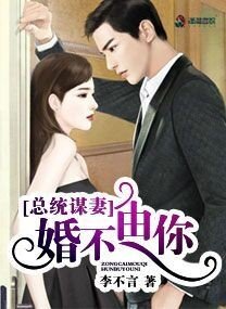 陆少谋妻之婚不由你/总统谋妻:婚不由你