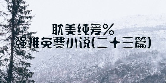 耽美纯爱%强推免费小说(二十三篇)